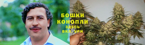 гидра Алзамай