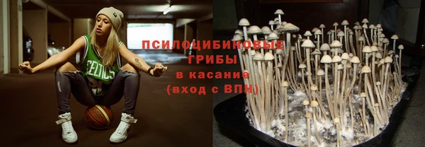 прущие грибы Алексин