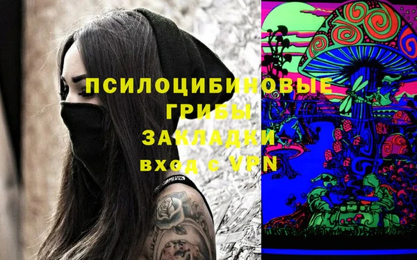 прущие грибы Алексин