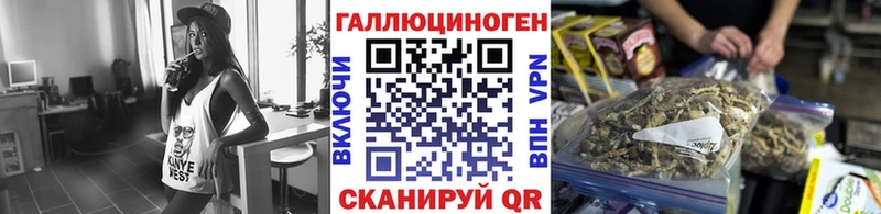 Псилоцибиновые грибы Magic Shrooms  даркнет формула  Бикин 